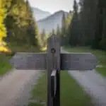 die richtige Nische wählen